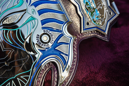 Jeff Hardy’s TNA Immortal World Championship Title Belt