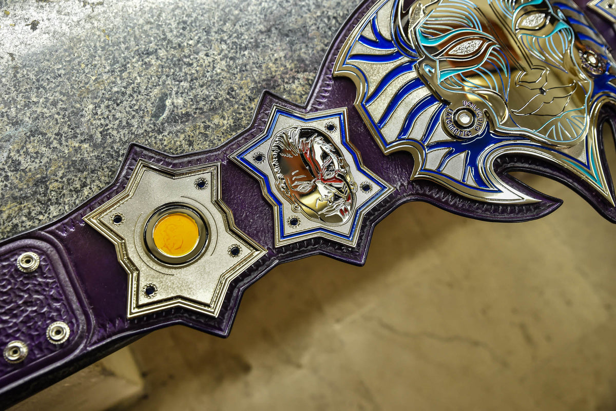 Jeff Hardy’s TNA Immortal World Championship Title Belt