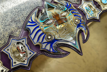 Jeff Hardy’s TNA Immortal World Championship Title Belt