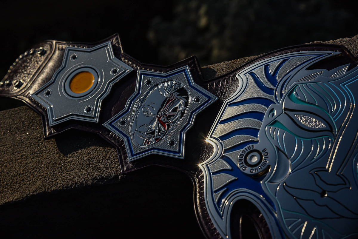 Jeff Hardy’s TNA Immortal World Championship Title Belt