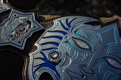 Jeff Hardy’s TNA Immortal World Championship Title Belt