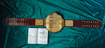 NWA Concept Big Gold — Automated Etched Edition Gallery 2