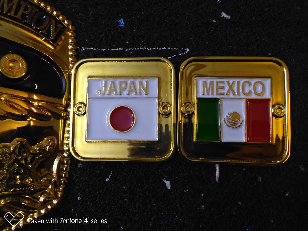 NWA Domed Globe Championship Title — Etched Version