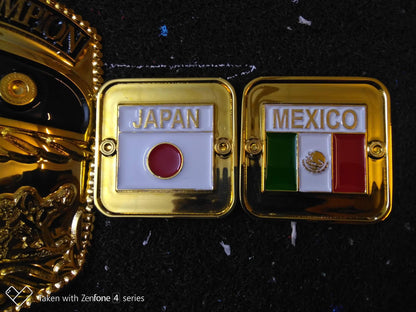 NWA Domed Globe Championship Title — Etched Version
