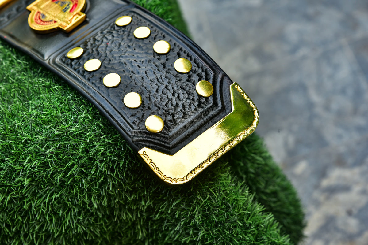 NWA North American Gold Championship Title Belt