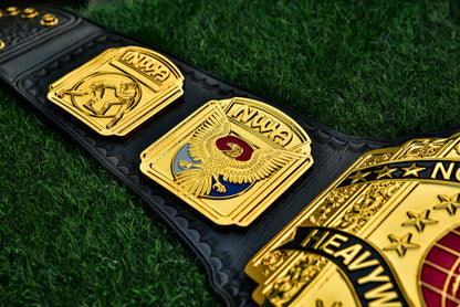 NWA North American Gold Championship Title Belt