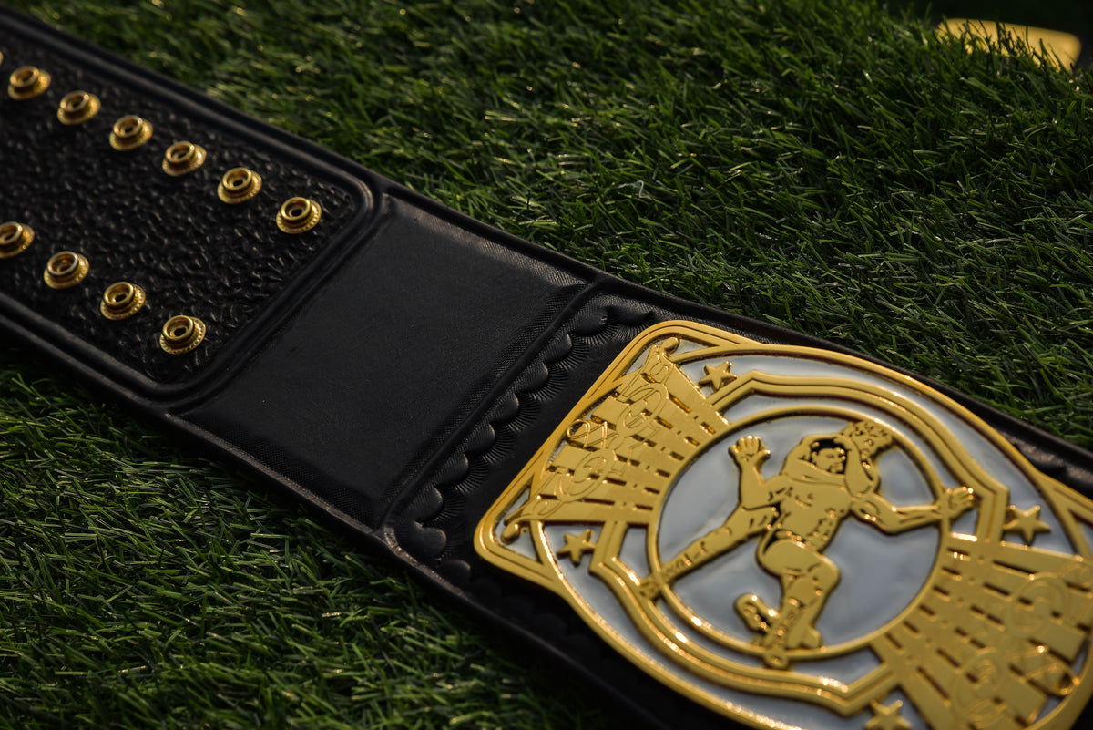 NWA/TNA X Title – Dual Plated