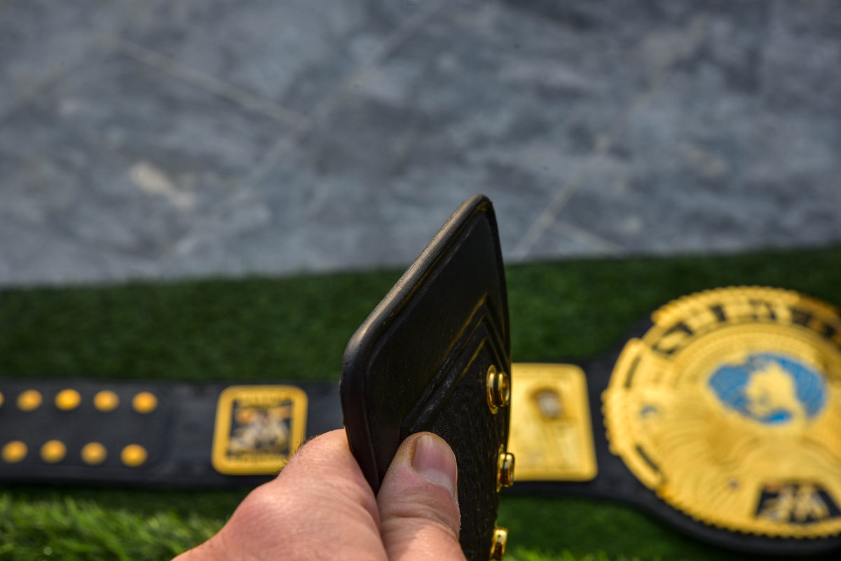 NWA/TNA X Title – Dual Plated