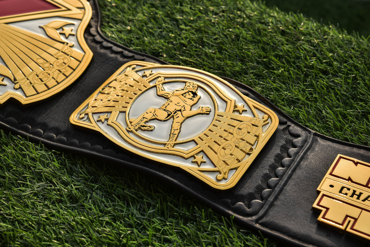 NWA/TNA X Title – Dual Plated
