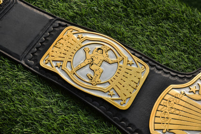 NWA/TNA X Title – Dual Plated