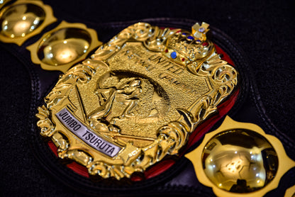 NWA United National Title Belt