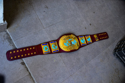 Oval IC Title Block Logo and Purple Leather