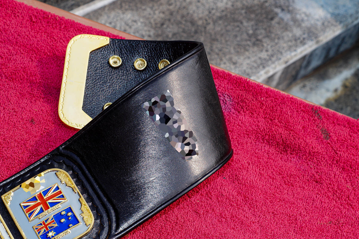The Hogan 86 Mystery Title Belt