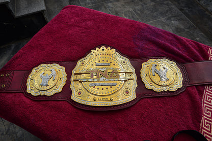 TNA Legends Title Belt