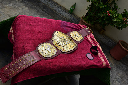 TNA Legends Title Belt