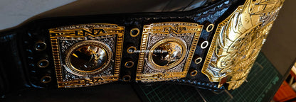 TNA Midwest World Title Ring Accurate Version