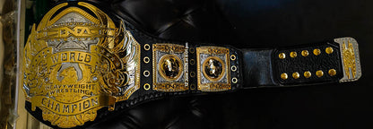 TNA Midwest World Title Ring Accurate Version