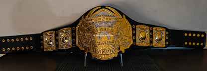 TNA Midwest World Title Ring Accurate Version