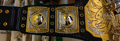 TNA Midwest World Title Ring Accurate Version