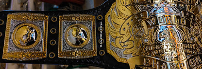 TNA Midwest World Title Ring Accurate Version