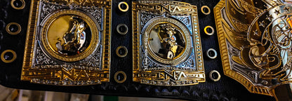 TNA Midwest World Title Ring Accurate Version