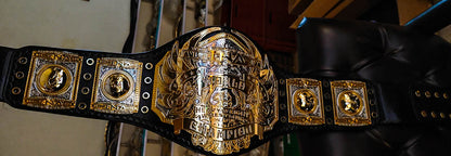 TNA Midwest World Title Ring Accurate Version