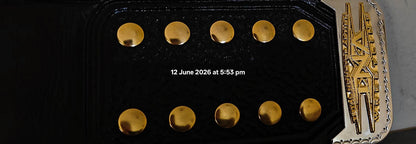 TNA Midwest World Title Ring Accurate Version