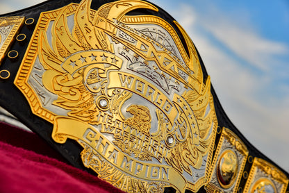 TNA Midwest World Title
