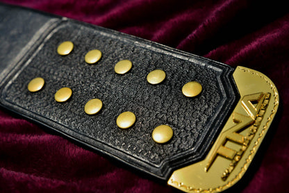 TNA Women’s Championship Title Belt – Gold