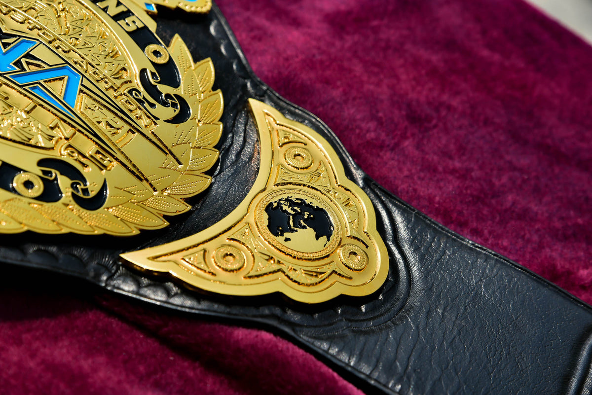 TNA Women’s Championship Title Belt – Gold