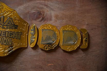 TNA World Title 2020 – Dual Plated