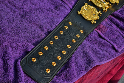 Undisputed V1 Title Belt Gallery 2