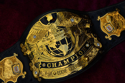 Undisputed V3 Title Belt