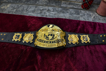 Undisputed V3 Title Belt