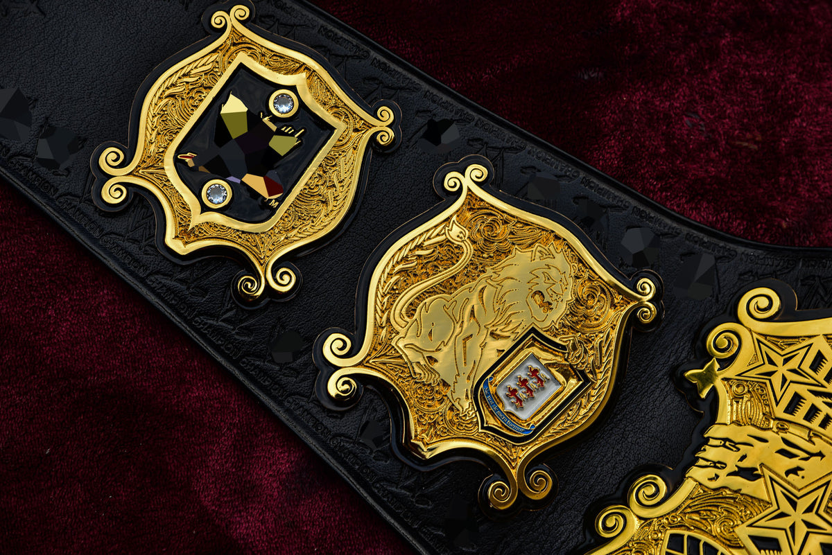 Undisputed V3 Title Belt