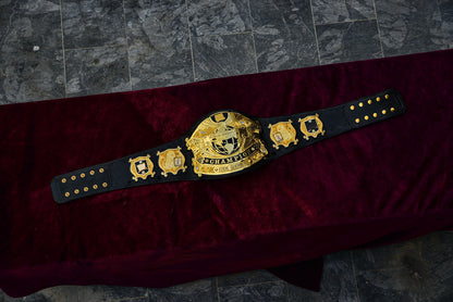 Undisputed V3 Title Belt