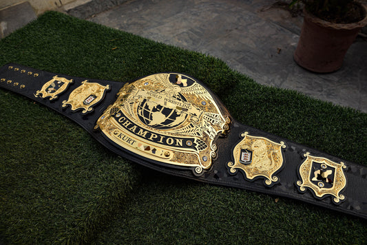 Undisputed V4 Title Belt