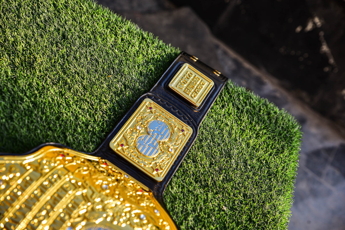 Vegas Big Gold with Leather and one piece tip Gallery 3