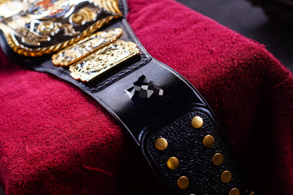 Reggie Parks Tag Title Dual Plated Demolition Version